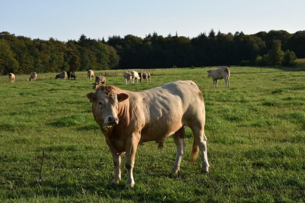 Ferienhaus Nannen Rechtsupweg Exterior foto