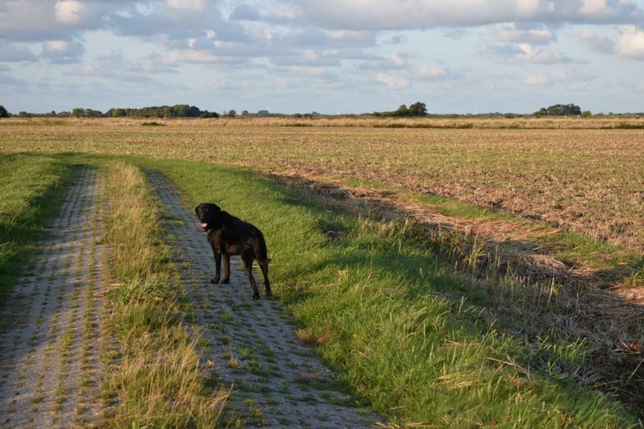 Ferienhaus Nannen Rechtsupweg Exterior foto